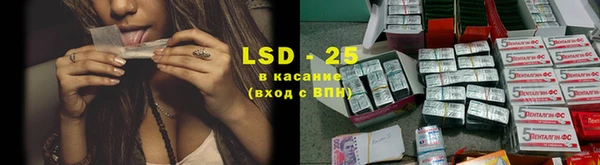 эйфоретик Новокубанск
