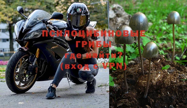 дмт Новодвинск