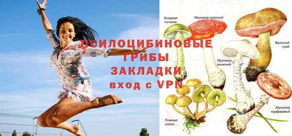 дмт Новодвинск