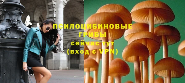 тгк Семёнов